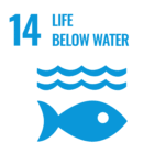 Objective 14 of Costa Rica’s banana sector: Life below water