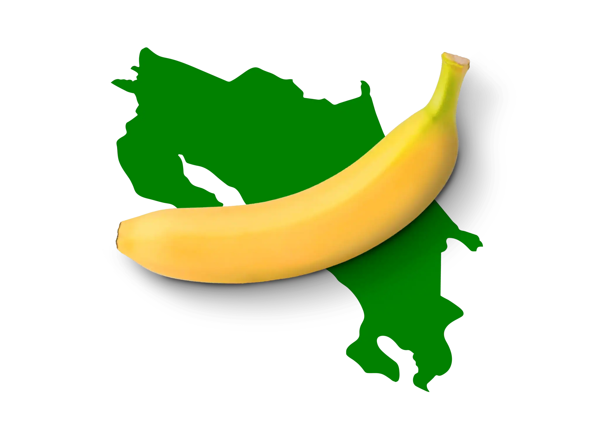 Un banano maduro sobre la silueta de un mapa de color verde del mapa de Costa Rica. A ripe banana on the silhouette of a green map of Costa Rica.