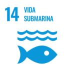 Objetivo 14 del sector bananero de Costa Rica: Vida submarina